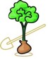 plantation